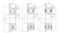 Inch Series Flanged Bearing